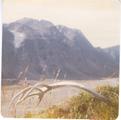 baffin07.jpg