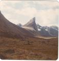 baffin22.jpg