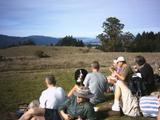 bolinas1.jpg