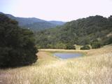 calero1.jpg
