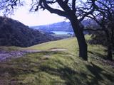 sunol1.jpg