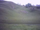sunol10.jpg