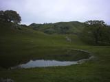 sunol11.jpg