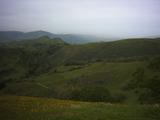 sunol13.jpg