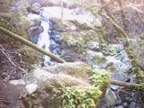 cascade1.jpg