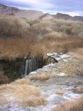 amargosa1.jpg
