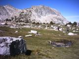 yosemite11.jpg