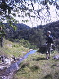 pacheco6.jpg