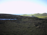 tucoast4.jpg