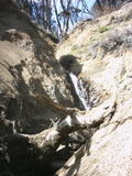 /pix/2009/bolinas1.jpg