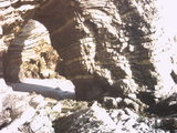 wildcat13.jpg