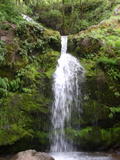 arroyosj169a.jpg