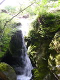 /pix/2010/arroyosj175a.jpg