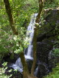 arroyosj176a.jpg