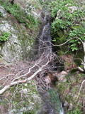 /pix/2010/barbier42a.jpg
