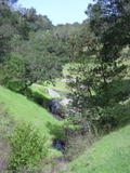 /pix/2010/blackstone36a.jpg