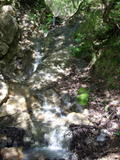 /pix/2010/blackstone59a.jpg