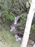 blackstone64a.jpg