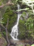 /pix/2010/blackstone66a.jpg
