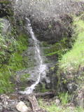 /pix/2010/blackstone67a.jpg