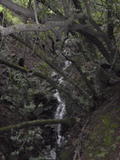 blackstone73a.jpg