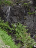 /pix/2010/blackstone75a.jpg