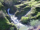 cascade112a.jpg
