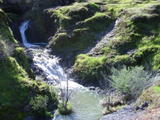 cascade113a.jpg