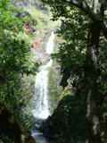 cascade117a.jpg