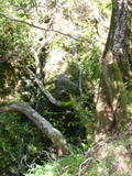 cascade122a.jpg