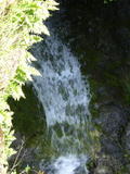 cascade126a.jpg
