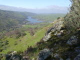 cedarmt79a.jpg