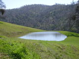 cedarmt84a.jpg