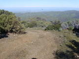 cedarmt89a.jpg