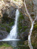 /pix/2010/coe100a.jpg