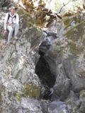 /pix/2010/coe237a.jpg