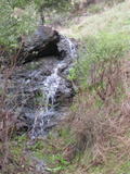 /pix/2010/marinwood5a.jpg