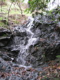 /pix/2010/marinwood7a.jpg