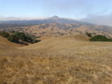 pacheco241a.jpg