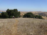 pacheco244a.jpg