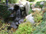 /pix/2010/ucbotanical247a.jpg