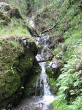 /pix/2011/barbier116a.jpg