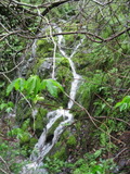 /pix/2011/barbier120a.jpg