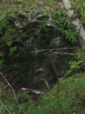 /pix/2011/barbier130a.jpg