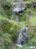 /pix/2011/barbier139a.jpg