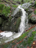 /pix/2011/barbier145a.jpg