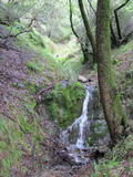 /pix/2011/barbier146a.jpg