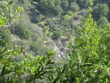 /pix/2011/barbier421a.jpg