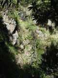 /pix/2011/barbier427a.jpg