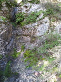 /pix/2011/barbier430a.jpg